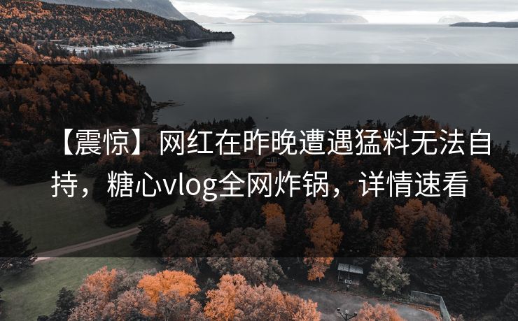 【震惊】网红在昨晚遭遇猛料无法自持，糖心vlog全网炸锅，详情速看